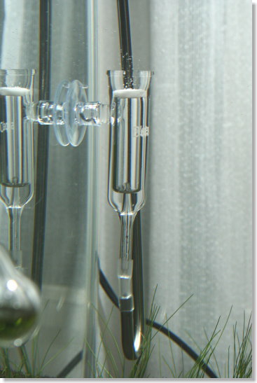20080511_02.jpg