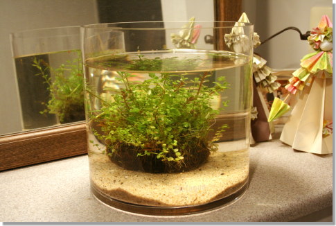 20080827_01.jpg