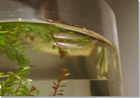 20080827_02.jpg
