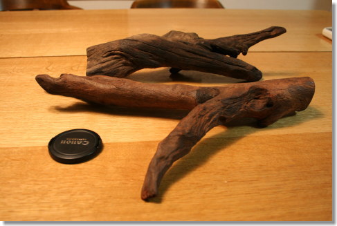 20081229_02.jpg