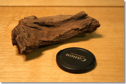 20081229_04.jpg