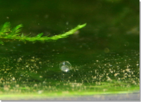 20090302_02.jpg