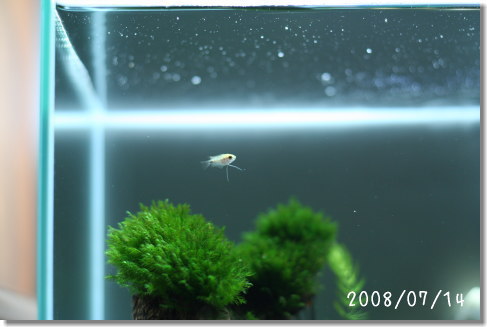 20090305_02.jpg