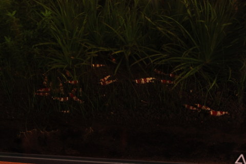 2010012901.jpg