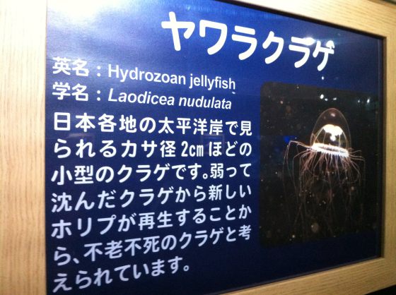 2010081404.jpg