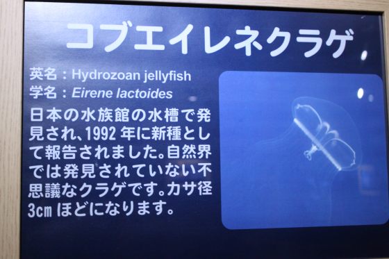 2010081405.jpg