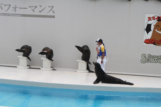 2010081406.jpg