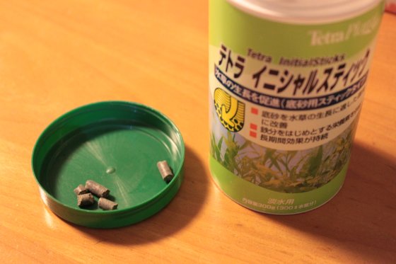 2010111703.jpg
