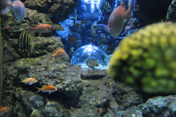 2010122805.jpg