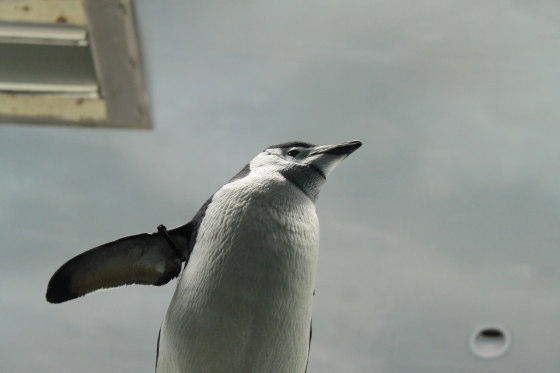 2010122807.jpg