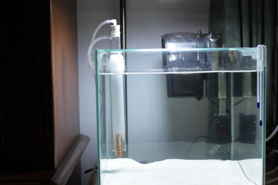 2011011302.jpg