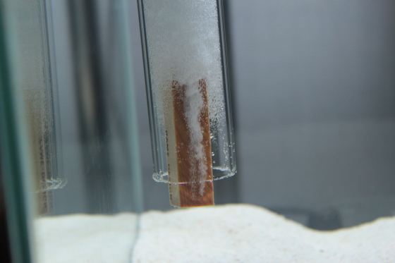 2011011303.jpg