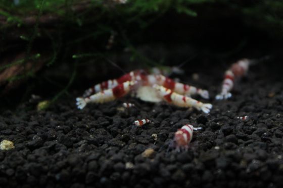 2011012501.jpg