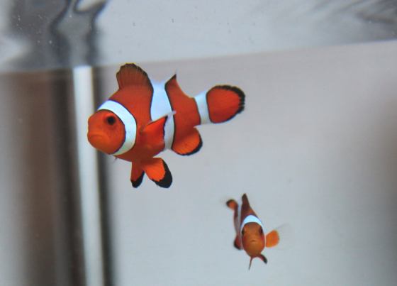 2011021701.jpg