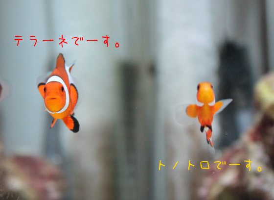 2011021702.jpg