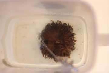 2011022801.jpg