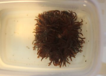 2011022802.jpg