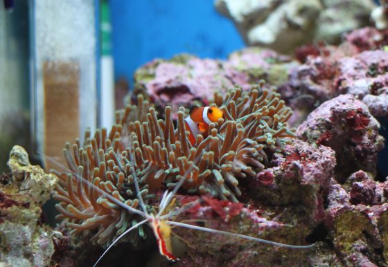 2011031401.jpg