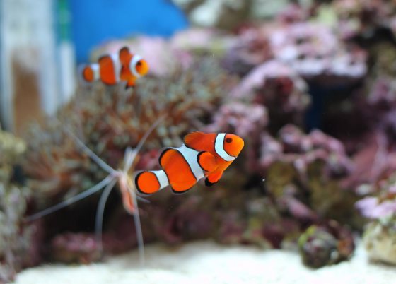 2011031402.jpg