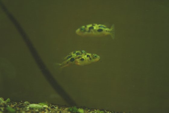 2011041801.jpg