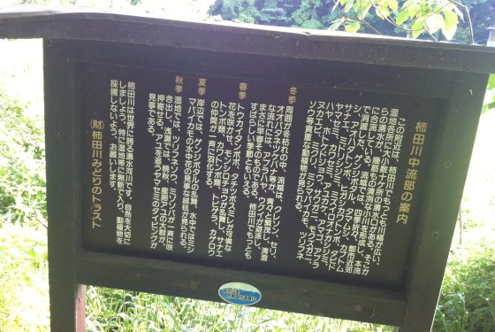 2011052603.jpg