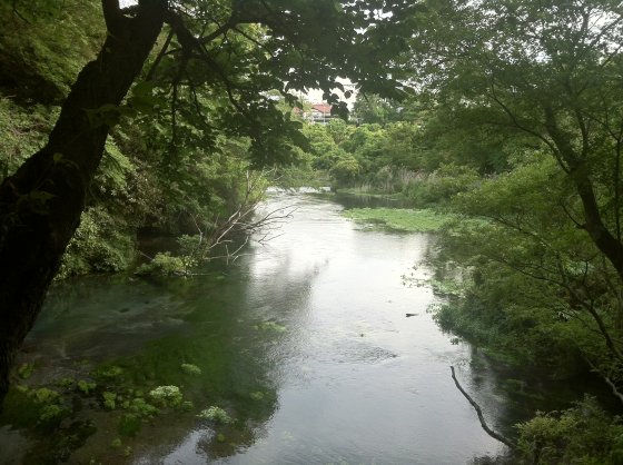 2011052604.jpg