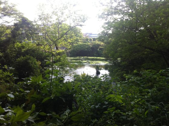 2011052605.jpg