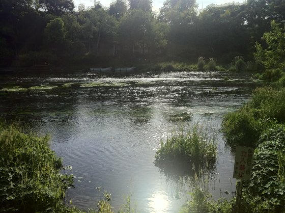 2011052606.jpg
