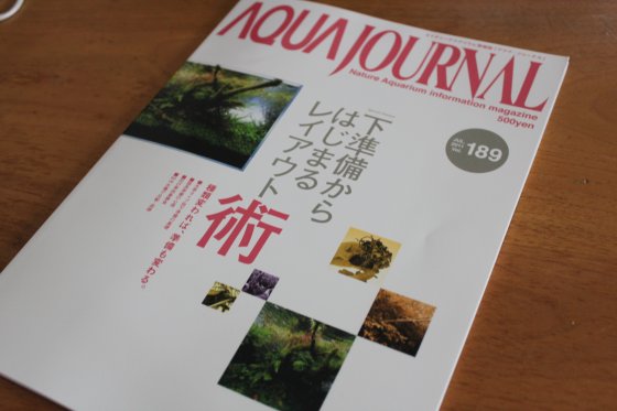 2011061201.jpg