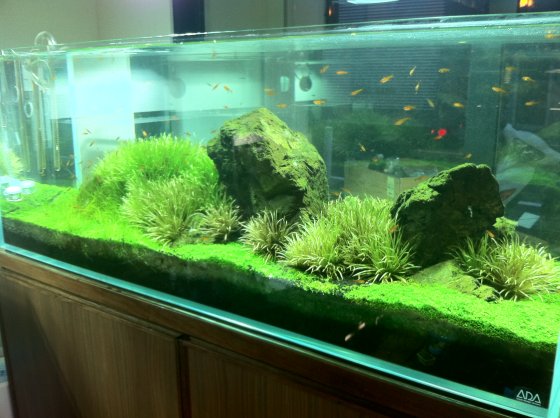 2011061203.jpg