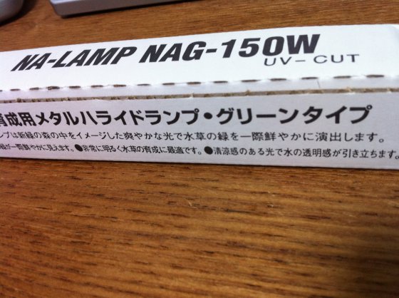 2011061205.jpg