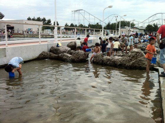 2011073107.jpg