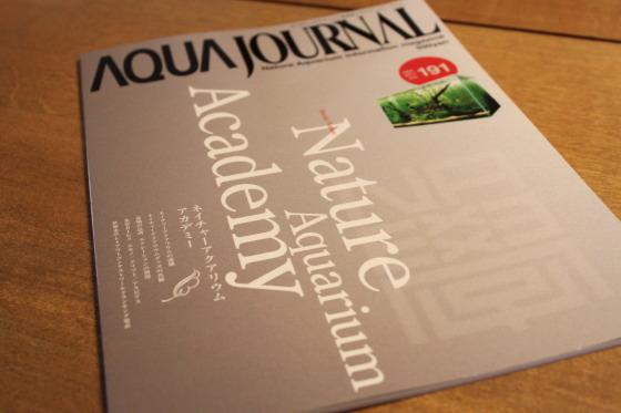 2011082001.jpg