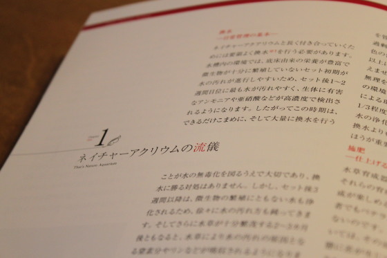 2011082002.jpg