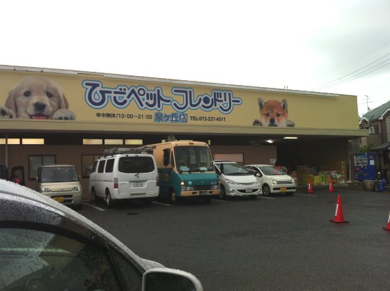 2011082401.jpg