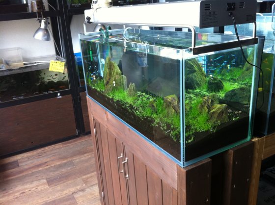 2011082402.jpg