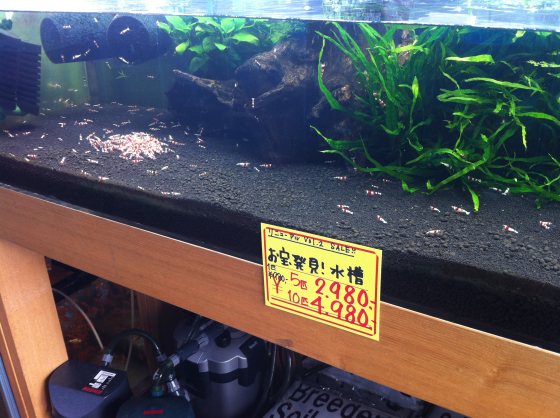 2011082403.jpg