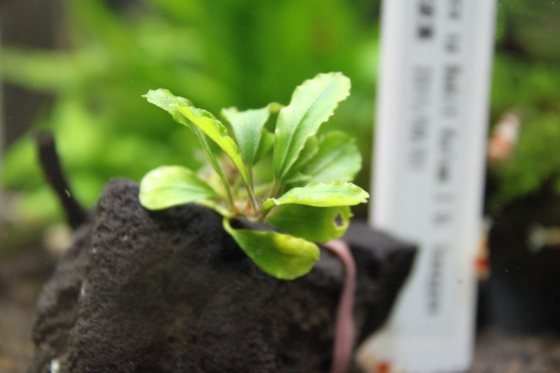 2011082405.jpg