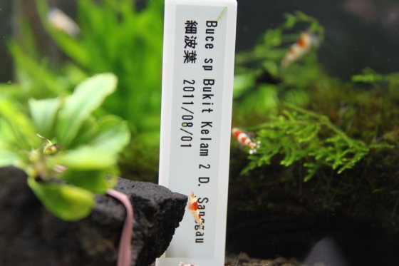 2011082406.jpg