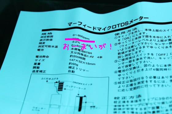 2011100302.jpg