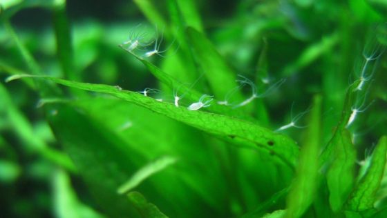 2011110403.jpg