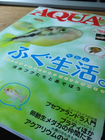 2011121401.jpg