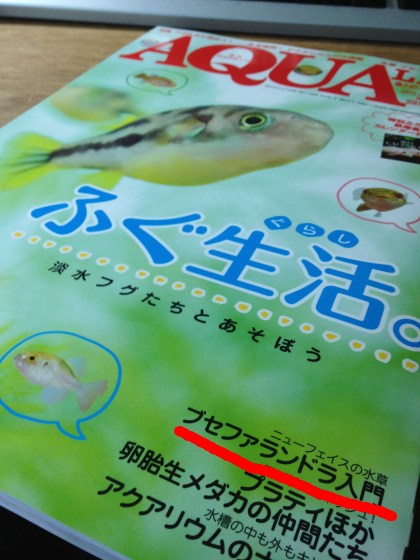 2011121402.jpg