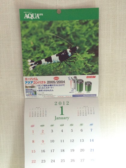 2011121404.jpg