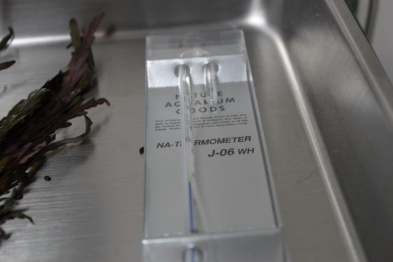 2012010802.jpg