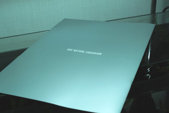 2012011102.jpg