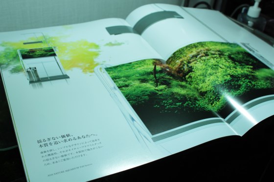 2012011105.jpg