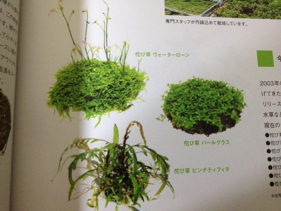 2012011302.jpg