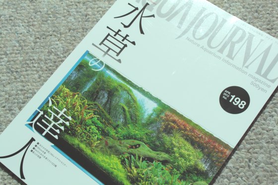 2012031301.jpg