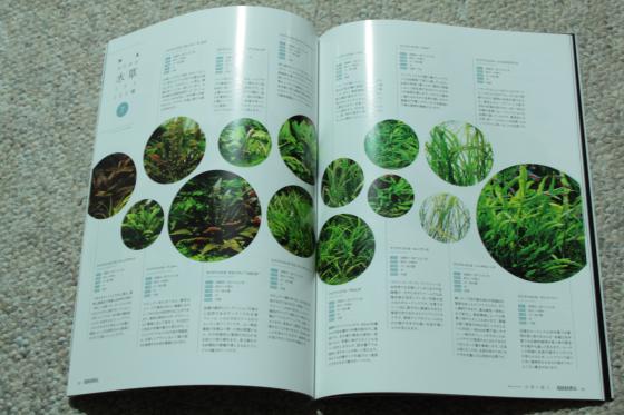 2012031302.jpg